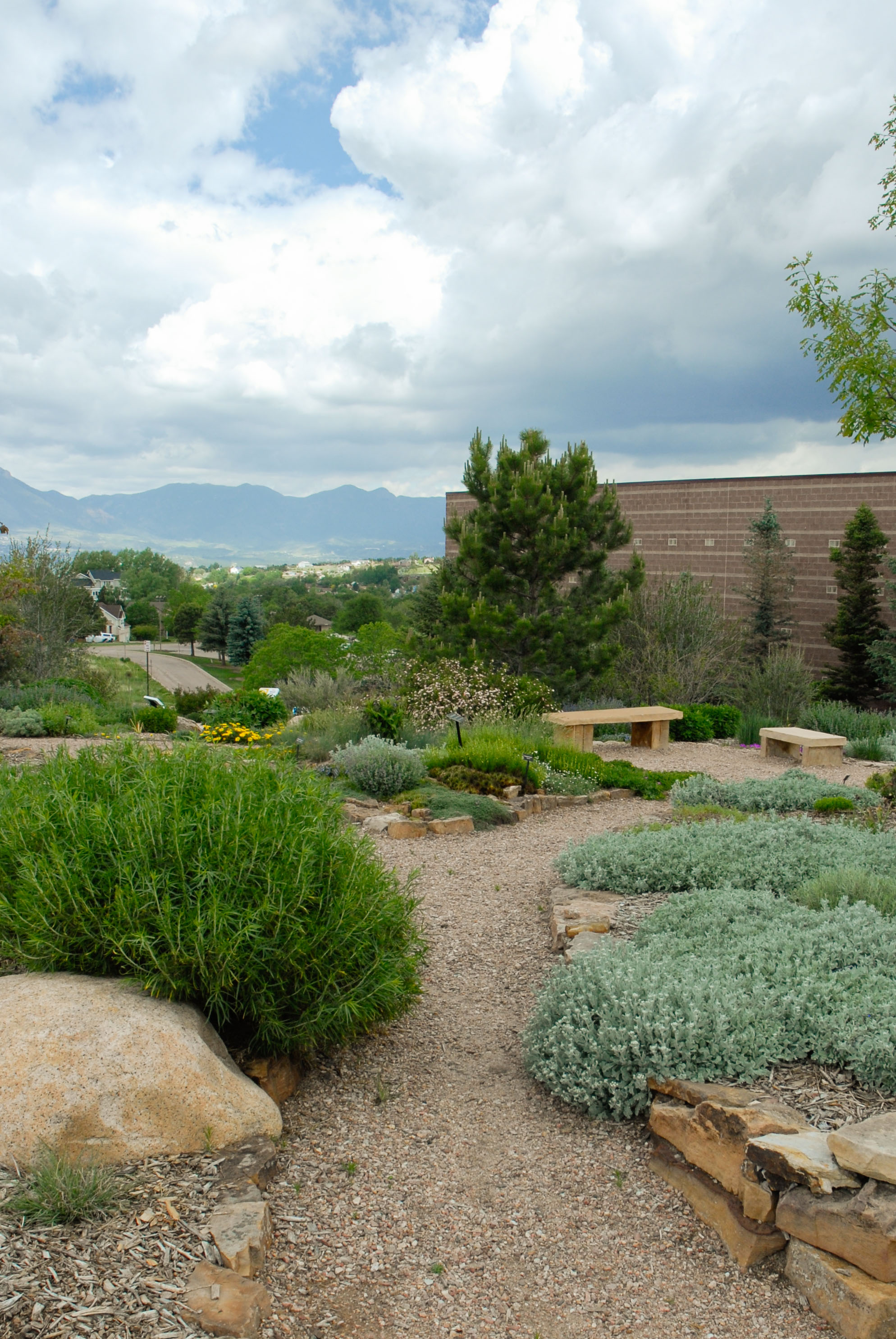 Cottonwood Creek Garden